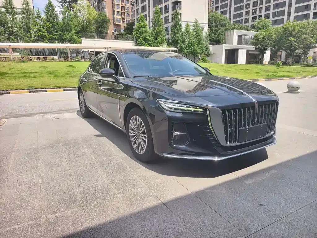 Hongqi H5 2023 из CN, фото 9