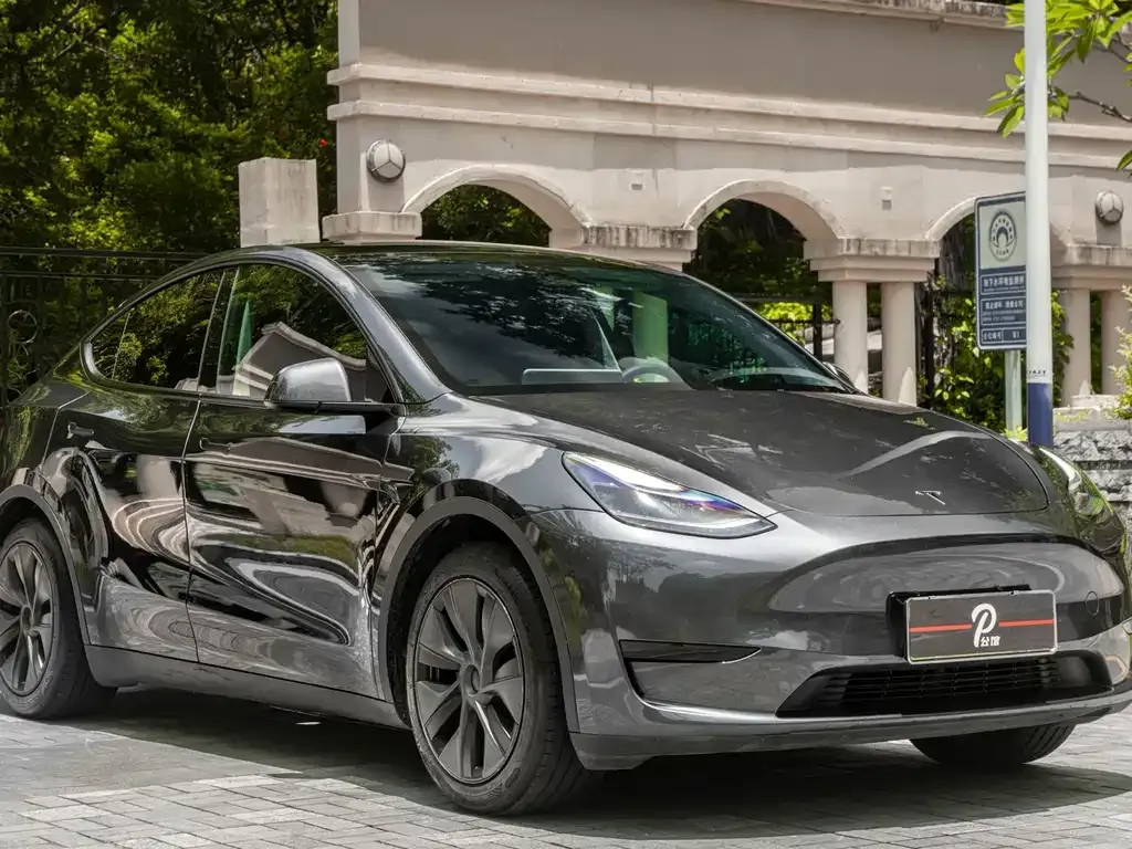 Tesla Model Y — фото 1