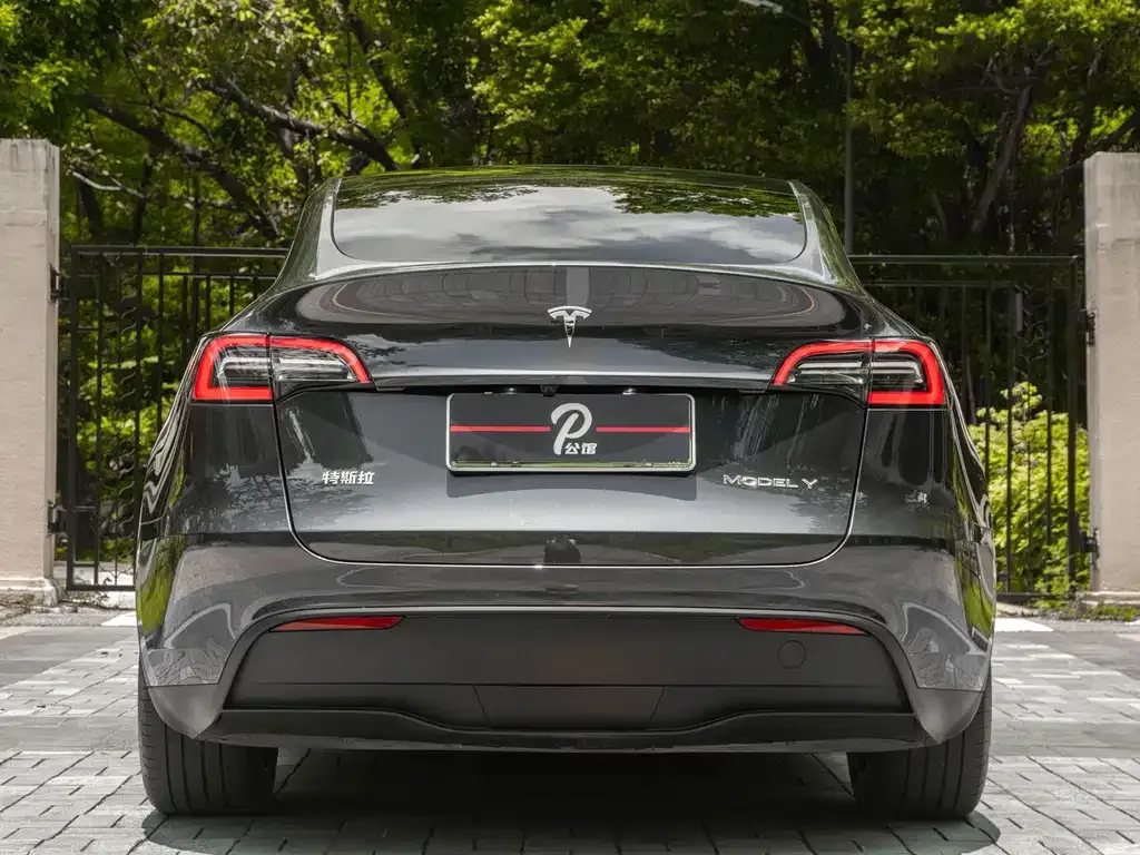 Tesla Model Y — фото 3