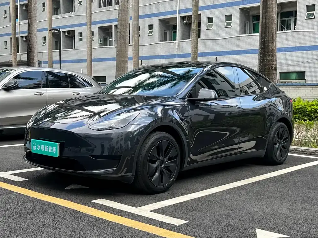 Tesla Model Y — фото 1