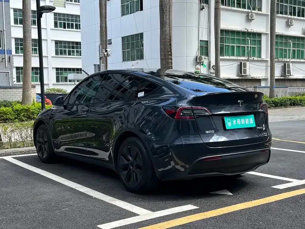 Tesla Model Y — фото 5