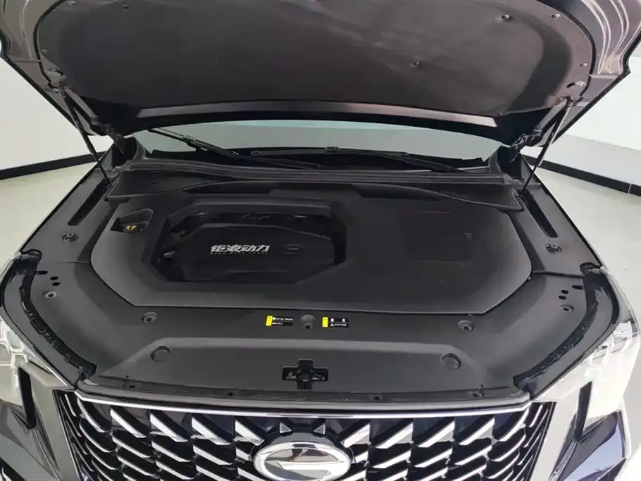 GAC Motor Trumpchi GS8 — фото 2