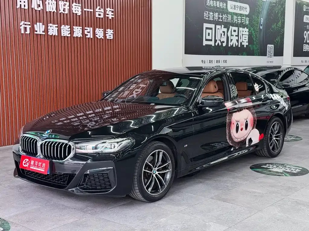BMW 5 Series (Import) — фото 1