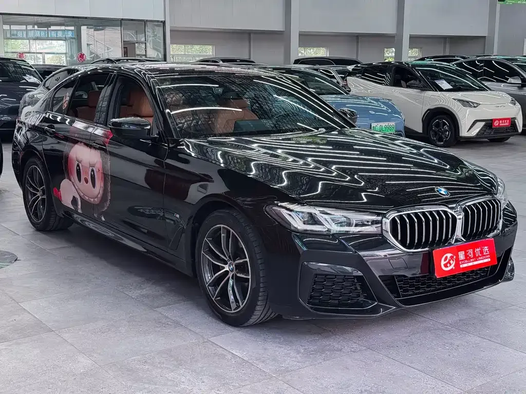 BMW 5 Series (Import) — фото 5