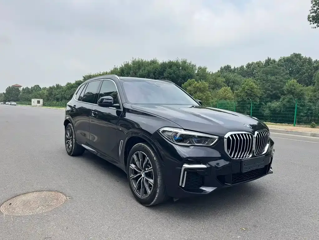 BMW X5 2022 из CN, фото 6