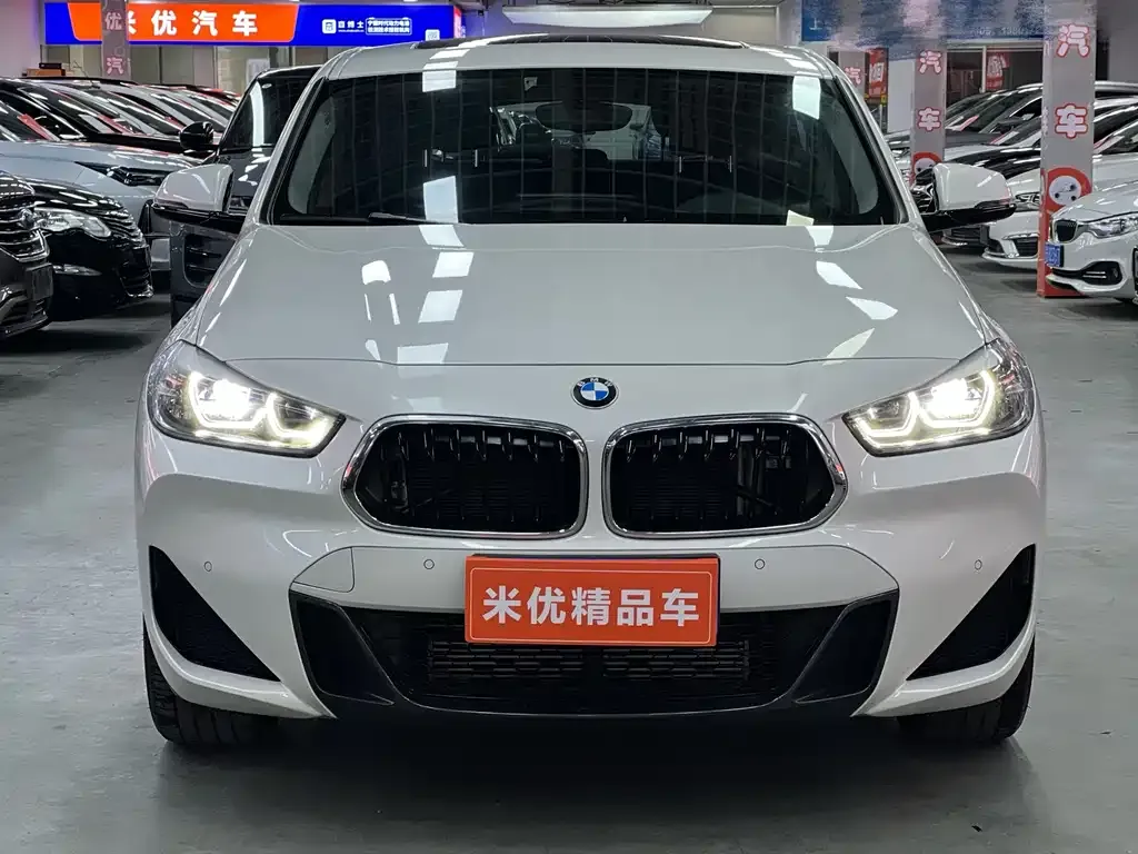 BMW X2 2022 из CN, фото 2
