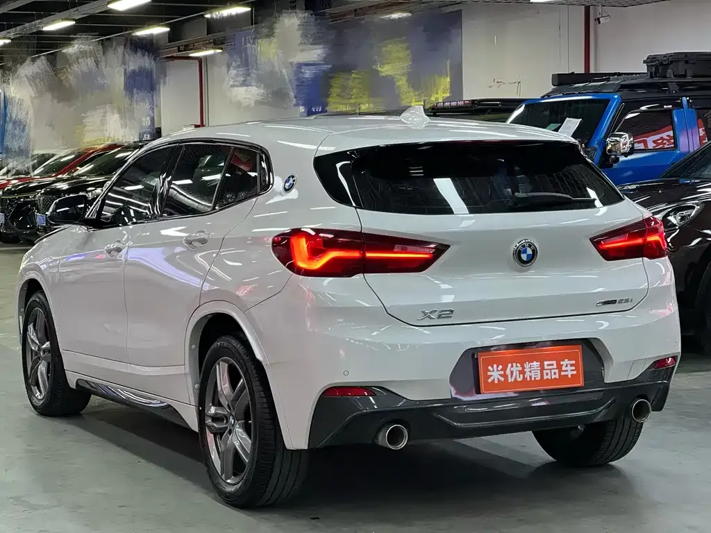 BMW X2 2022 из CN, фото 3