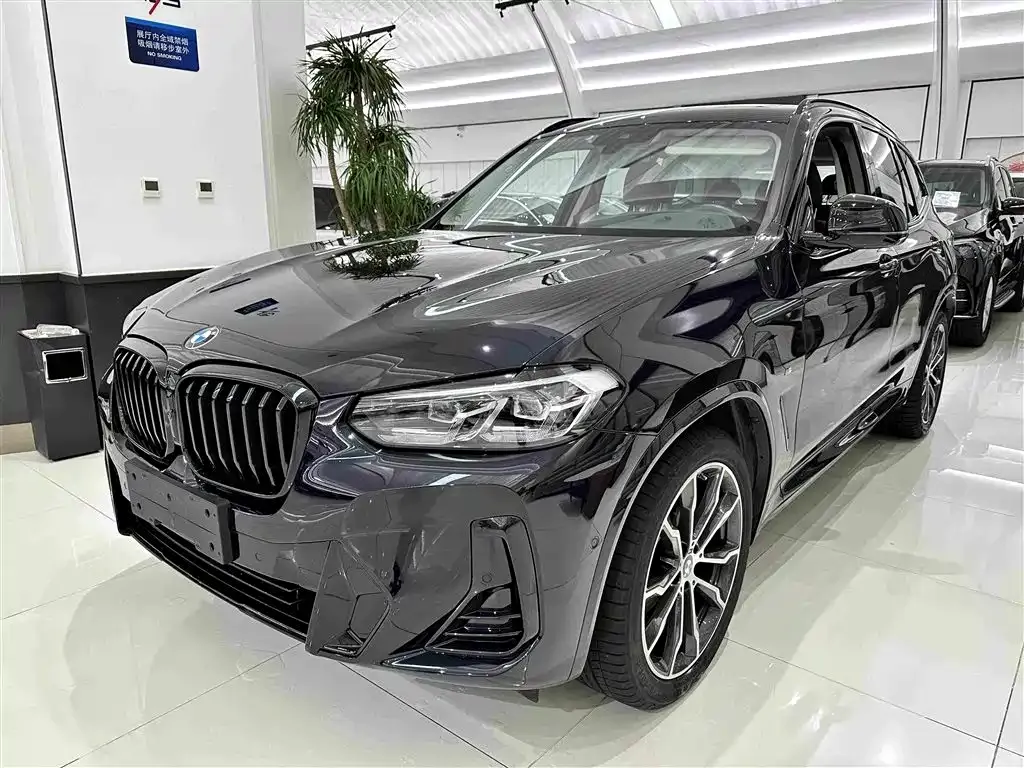 BMW X3 — фото 1