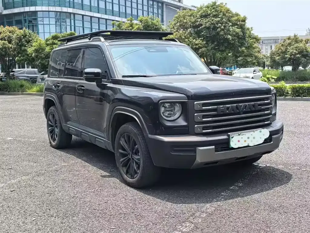 Haval Menglong New Energy 2024 из CN, фото 4