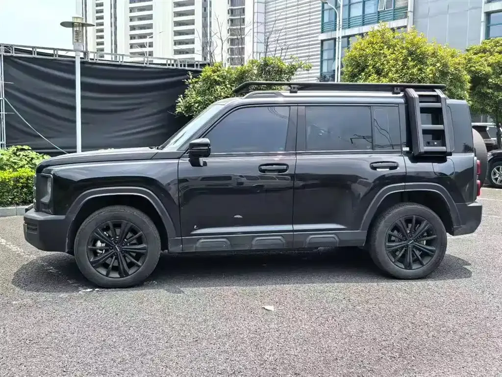 Haval Menglong New Energy 2024 из CN, фото 8