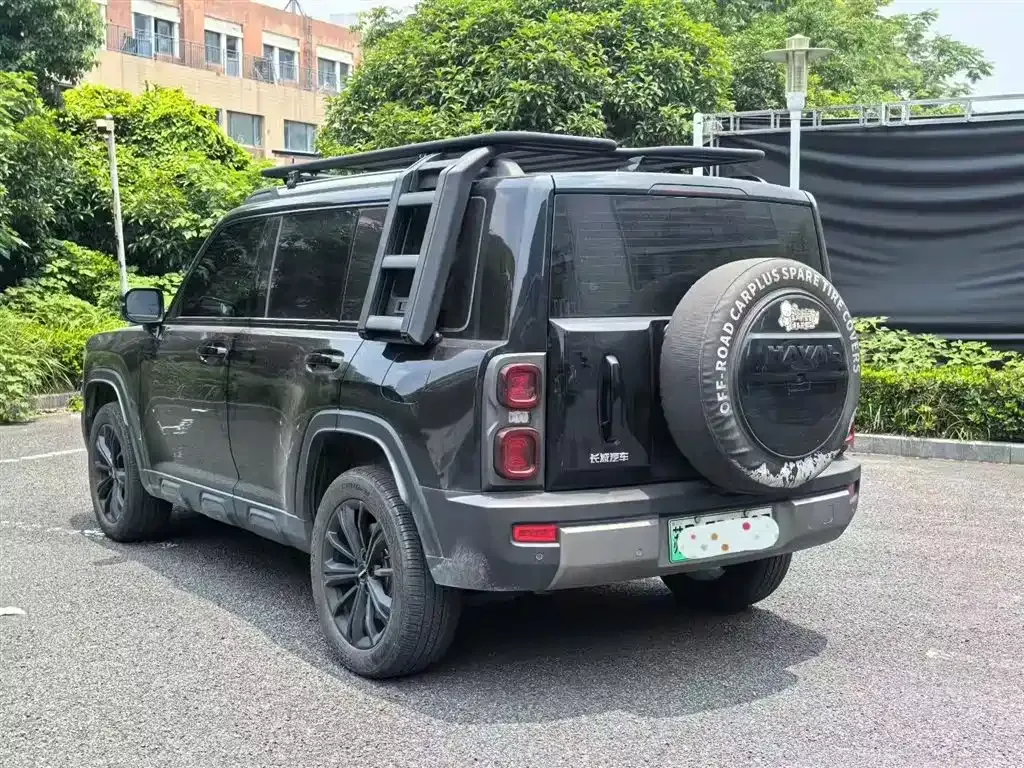 Haval Menglong New Energy 2024 из CN, фото 9