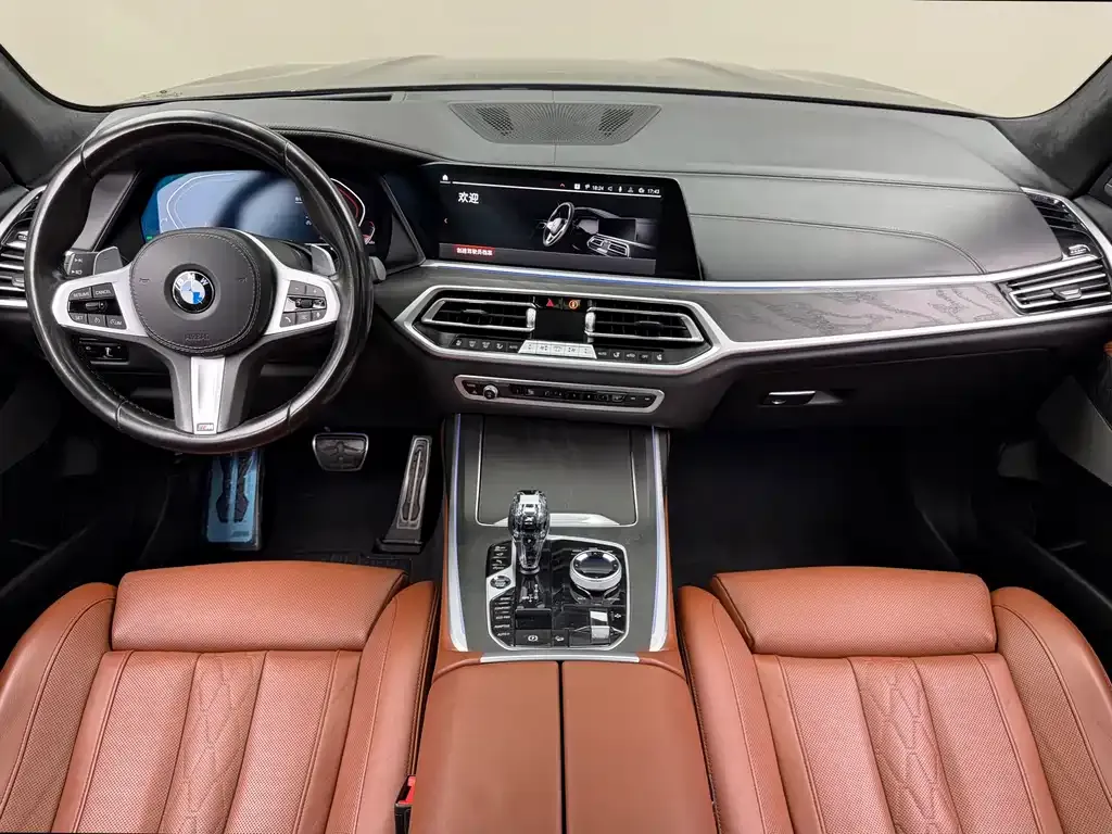BMW X7 2021 из CN, фото 9