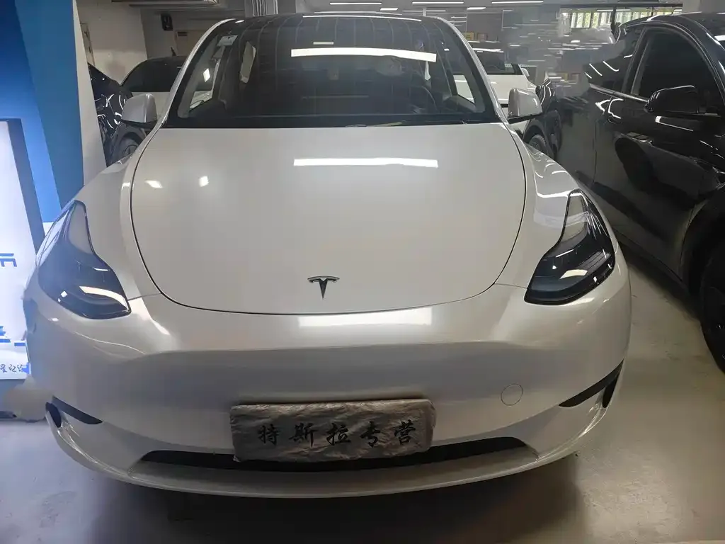 Tesla Model Y — фото 2