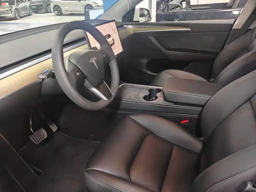 Tesla Model Y — фото 10
