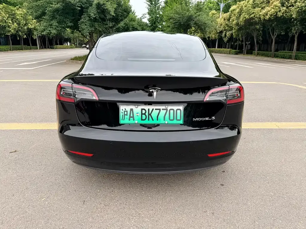 Tesla Model 3 — фото 2