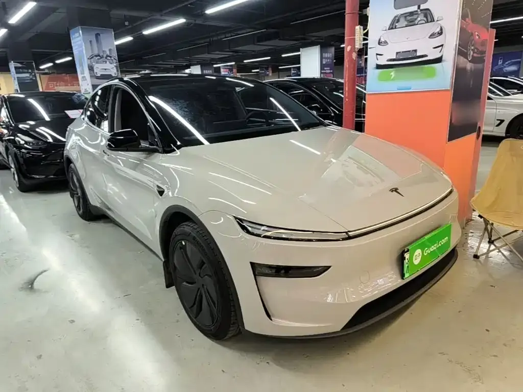 Tesla Model Y — фото 8
