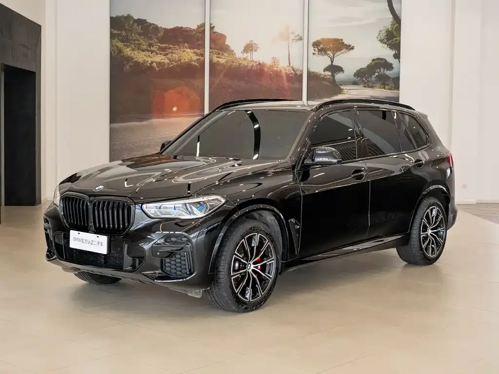 BMW X5 — фото 10