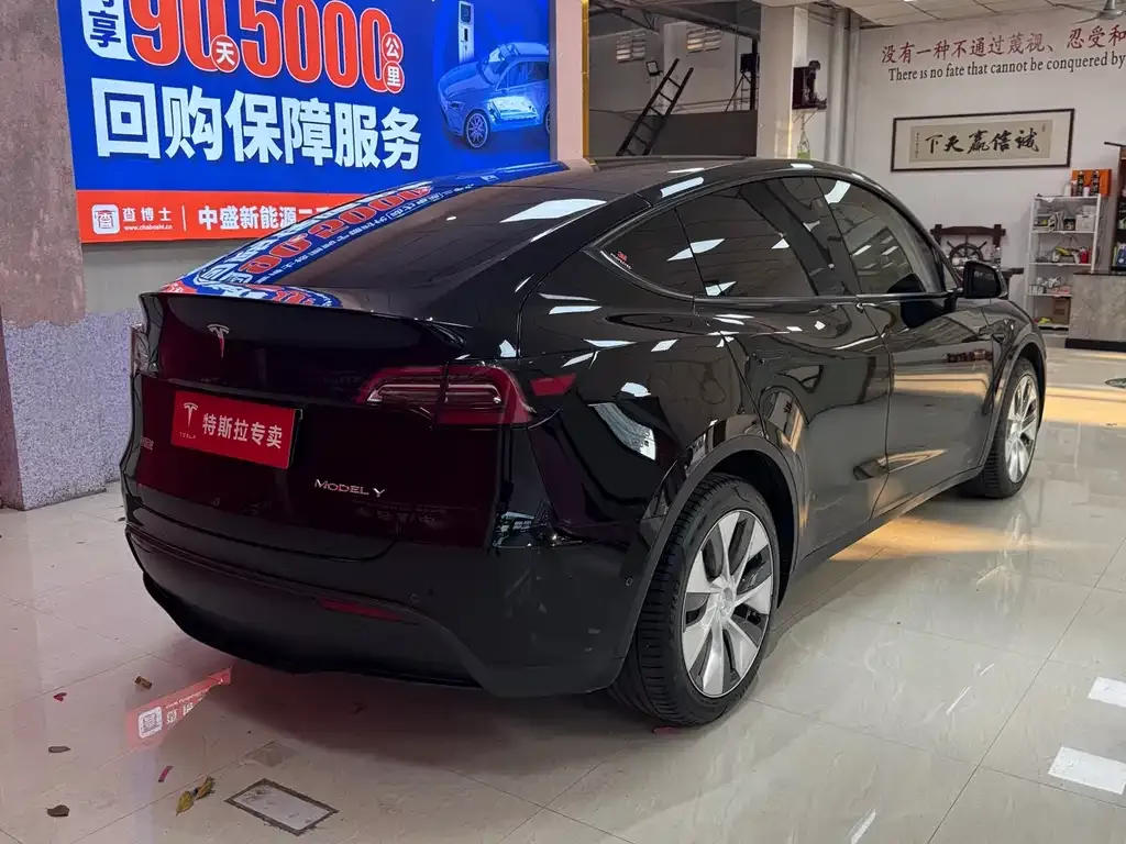 Tesla Model Y 2022 из CN, фото 6