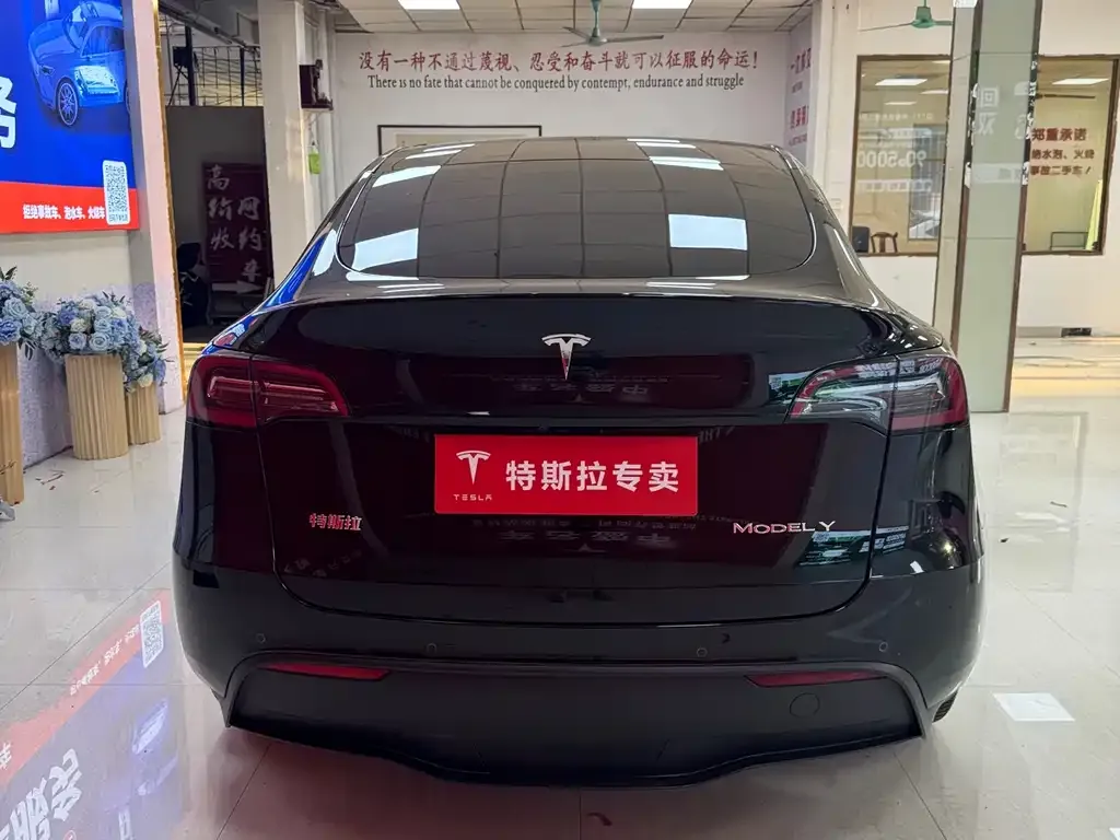 Tesla Model Y 2022 из CN, фото 5