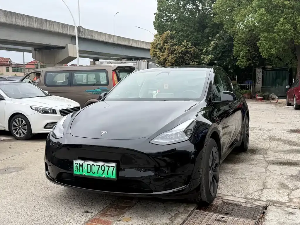 Tesla Model Y — фото 3