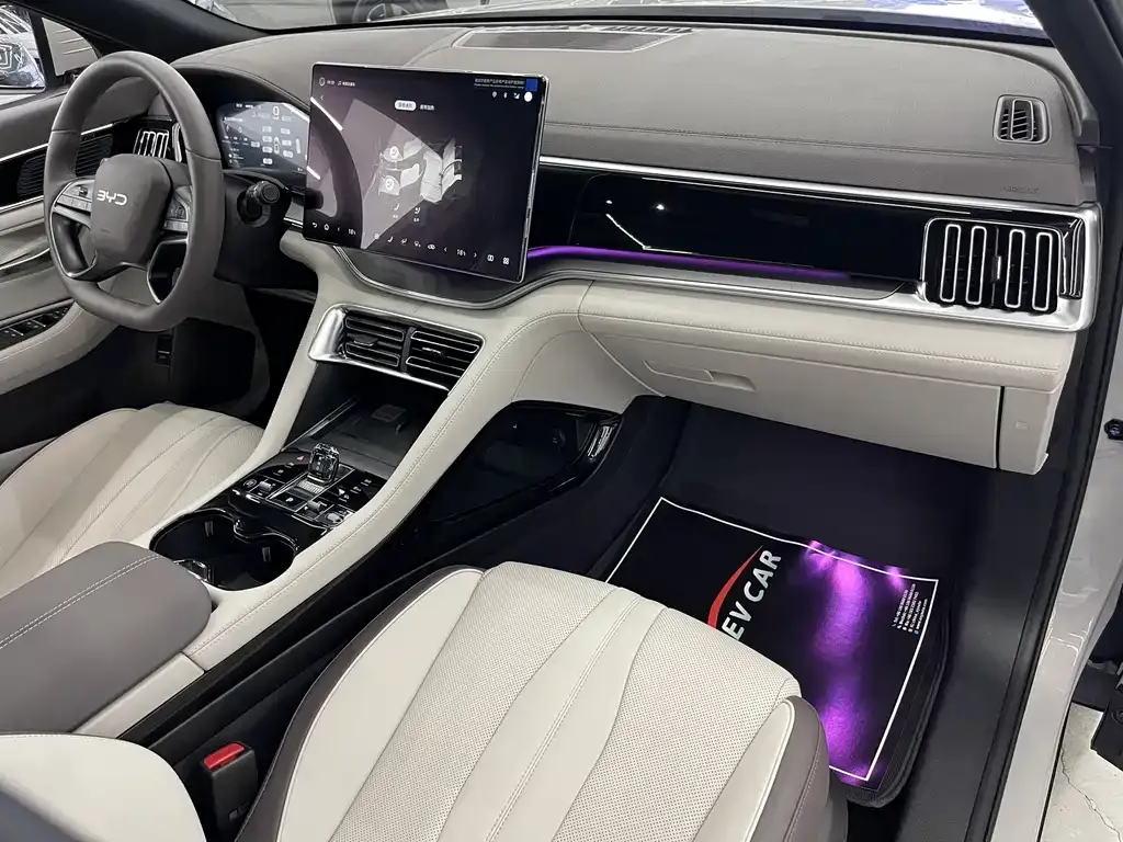 BYD PLUS New Energy — фото 10