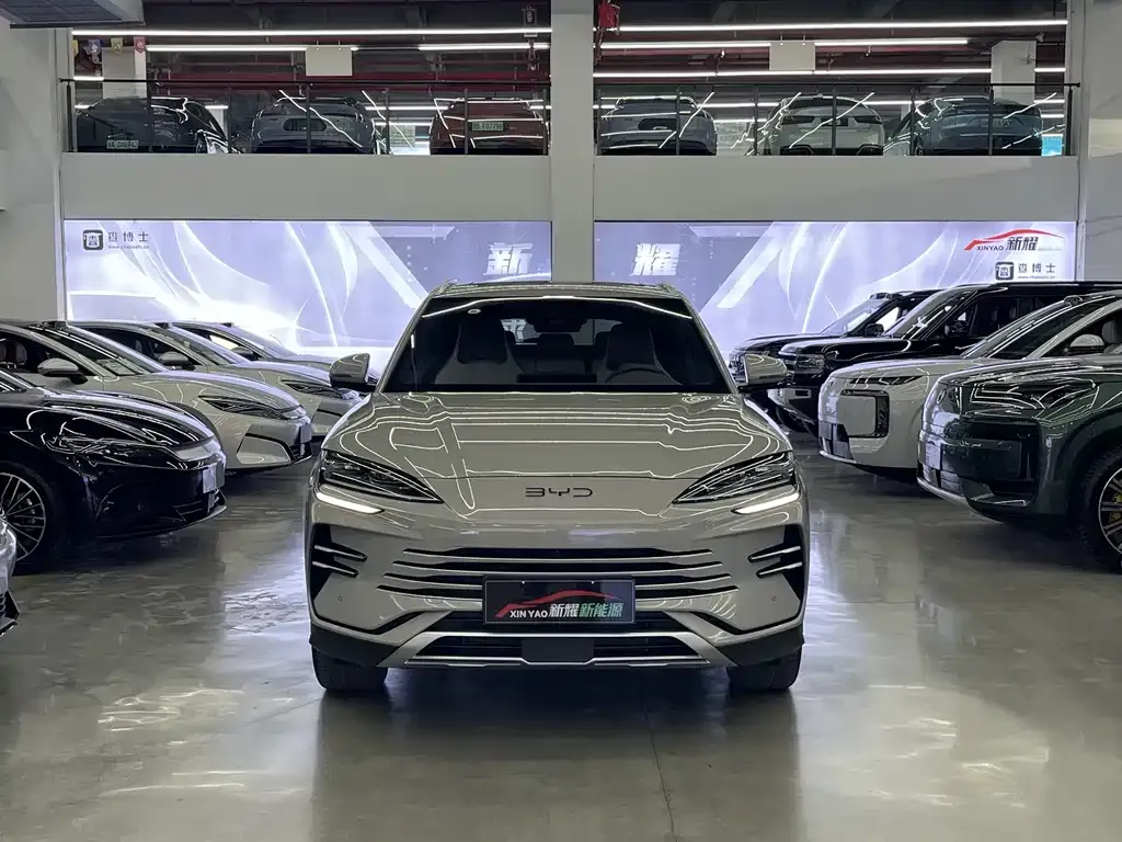 BYD PLUS New Energy — фото 2