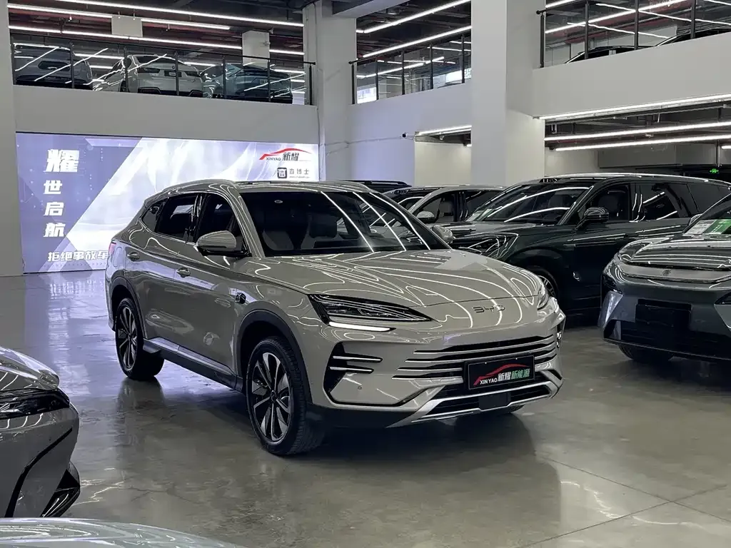 BYD PLUS New Energy — фото 4