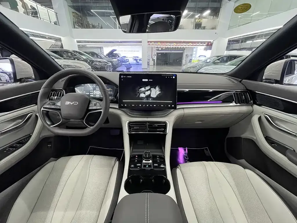 BYD PLUS New Energy — фото 3