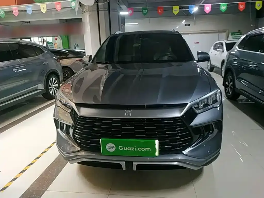 BYD Pro New Energy — фото 10