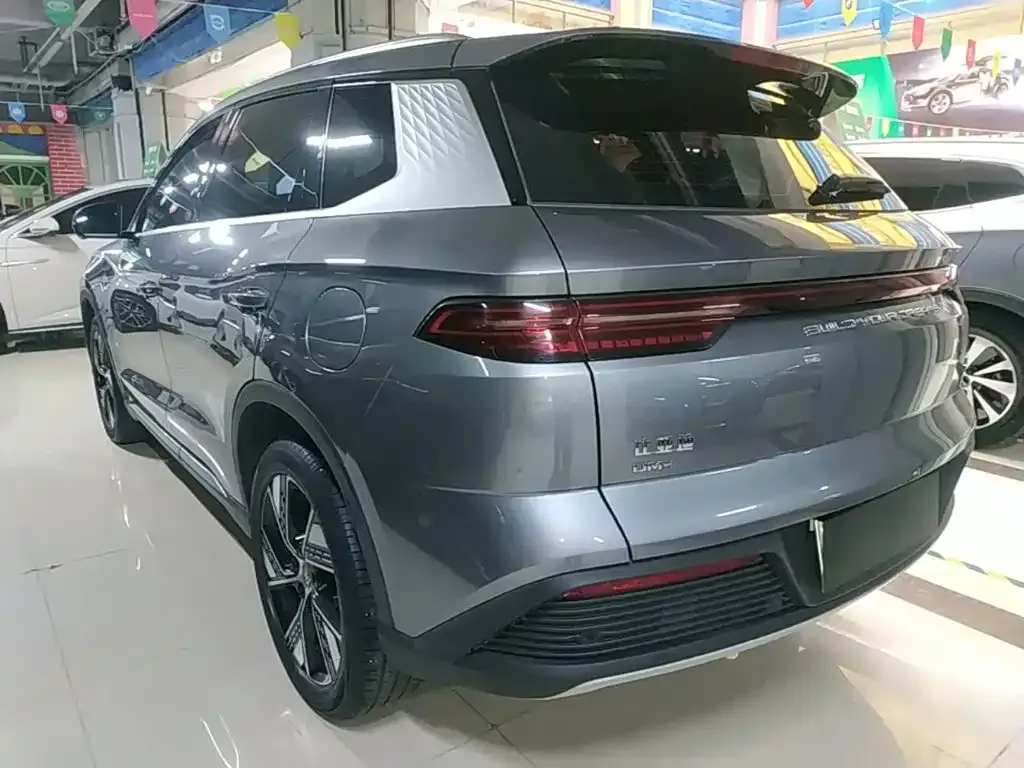 BYD Pro New Energy — фото 9