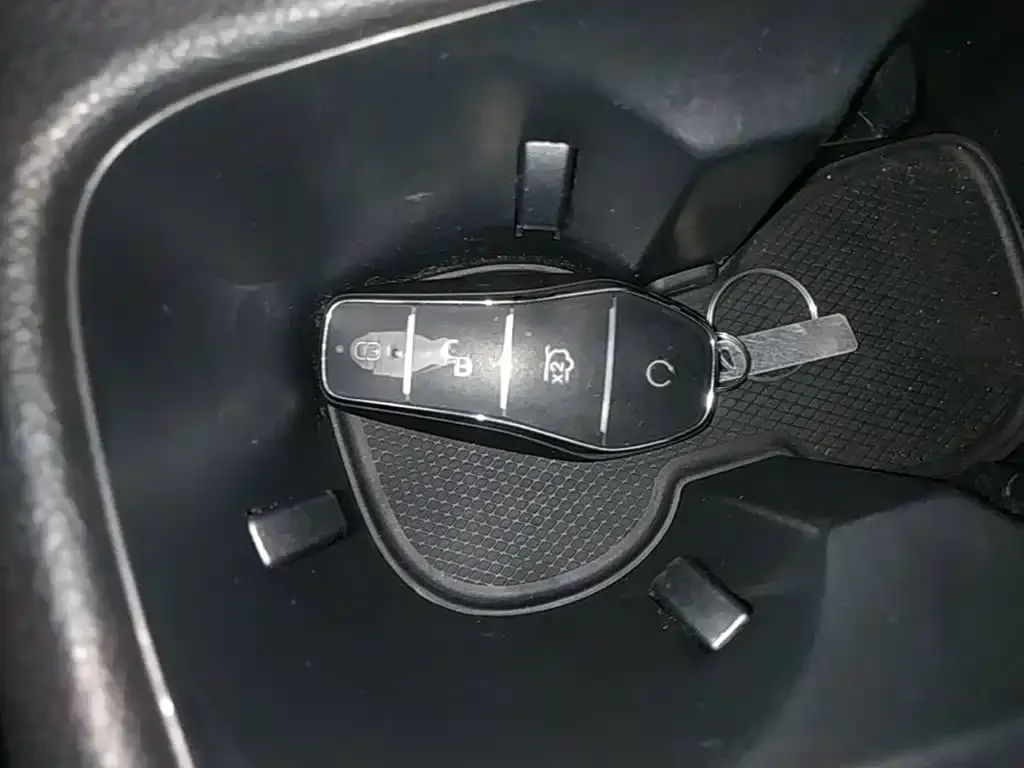 BYD Pro New Energy — фото 4