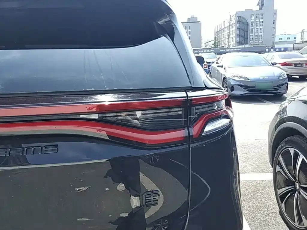 BYD Tang New Energy 2023 из CN, фото 4
