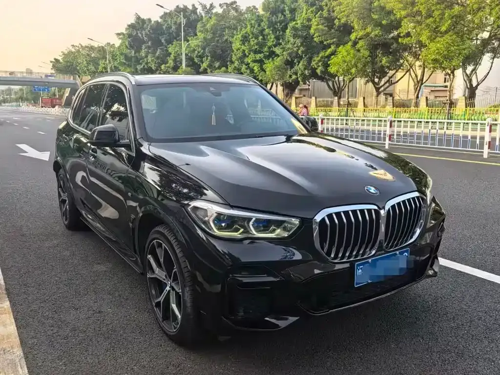 BMW X5 2023 из CN, фото 9