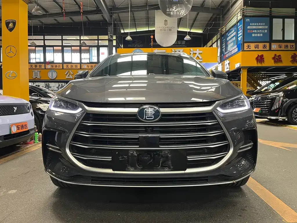 BYD Tang New Energy — фото 1