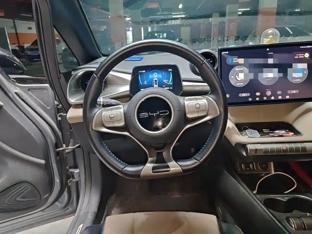 BYD Dolphin 2024 из CN, фото 8