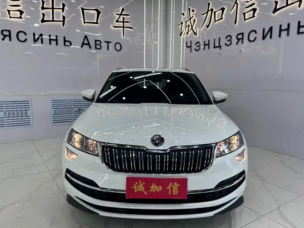 Skoda Karoq — фото 8