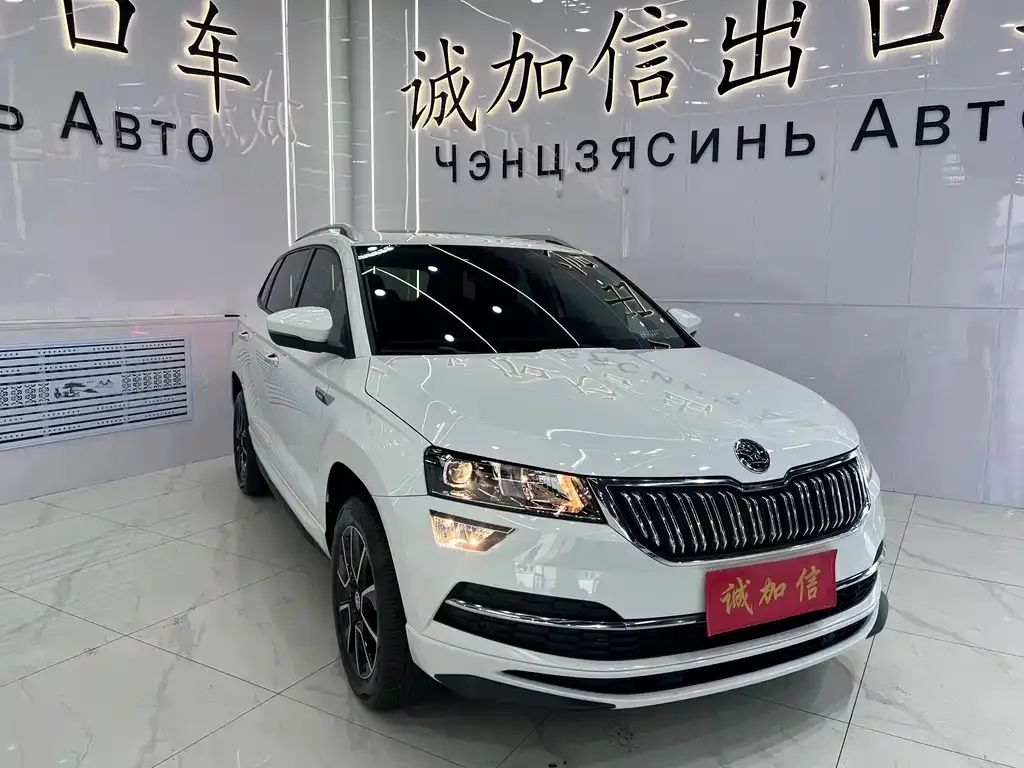 Skoda Karoq — фото 9