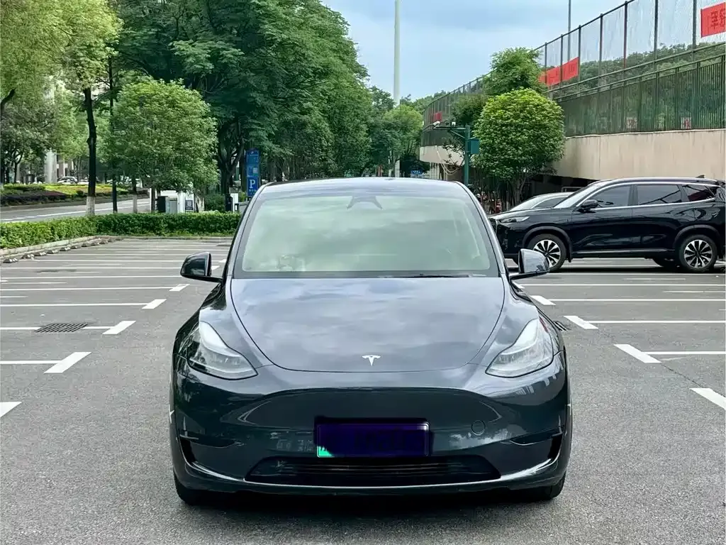 Tesla Model Y — фото 3