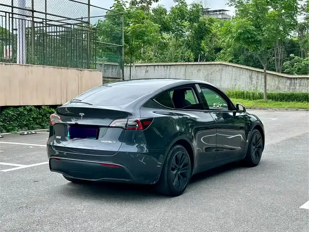 Tesla Model Y — фото 8