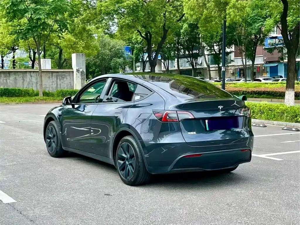 Tesla Model Y — фото 9