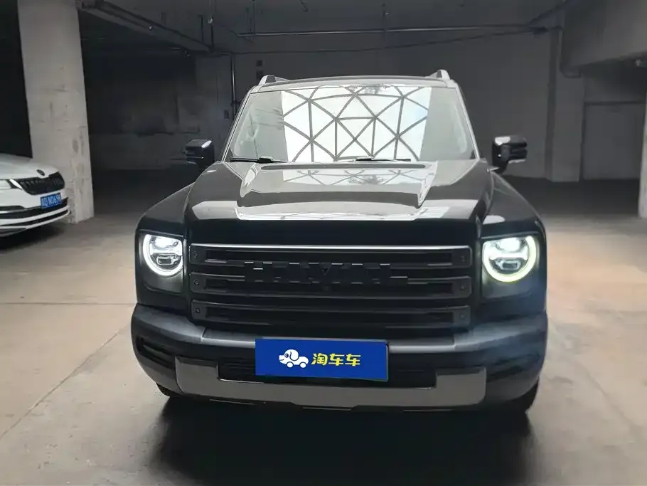Haval Menglong New Energy 2024 из CN, фото 4