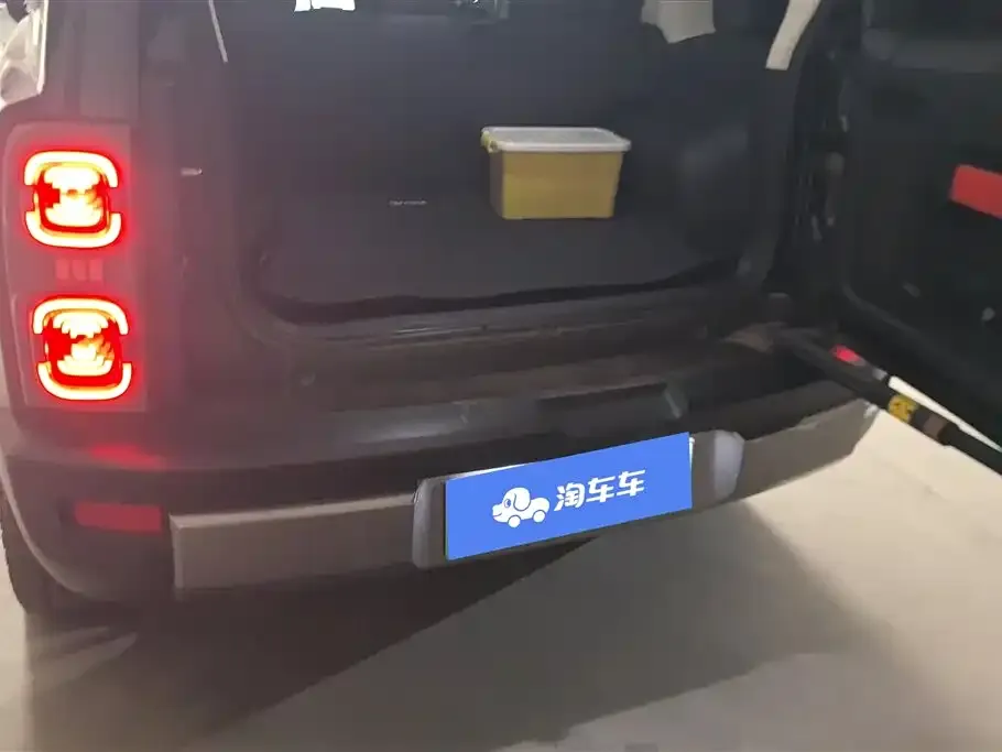 Haval Menglong New Energy 2024 из CN, фото 6