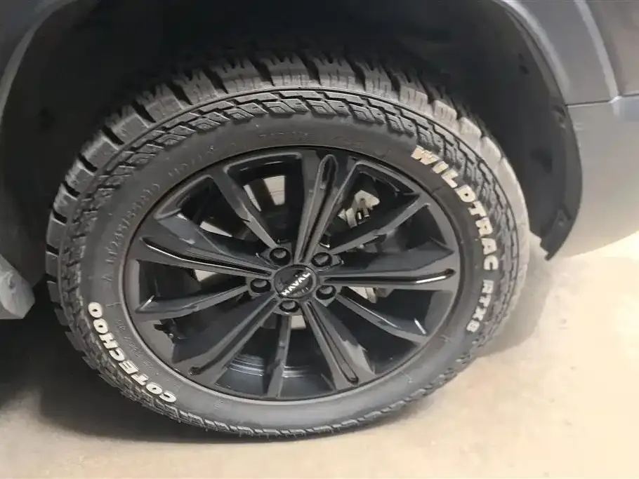 Haval Menglong New Energy 2024 из CN, фото 7