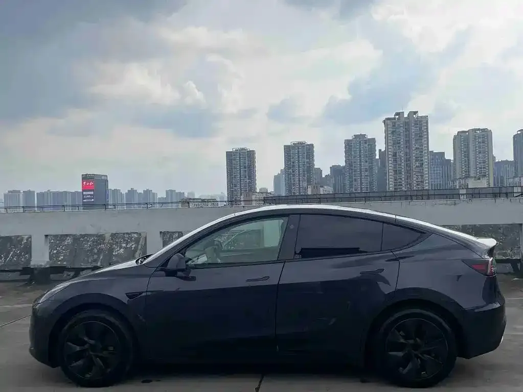Tesla Model Y — фото 2