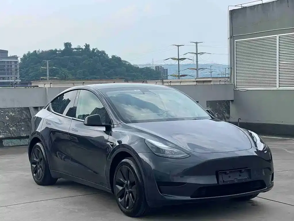 Tesla Model Y — фото 9