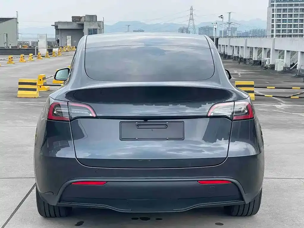 Tesla Model Y — фото 10