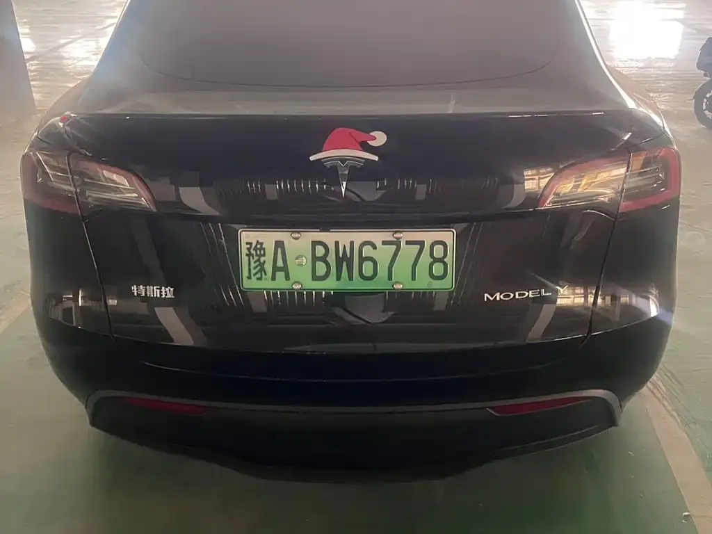 Tesla Model Y — фото 2