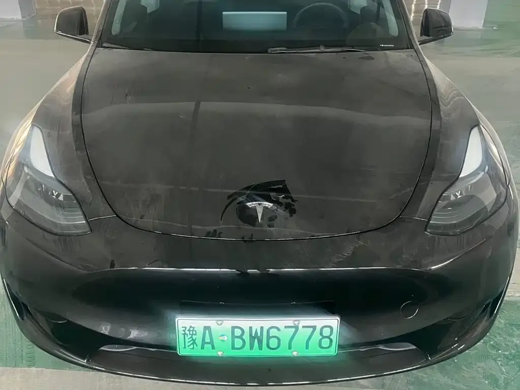 Tesla Model Y — фото 10