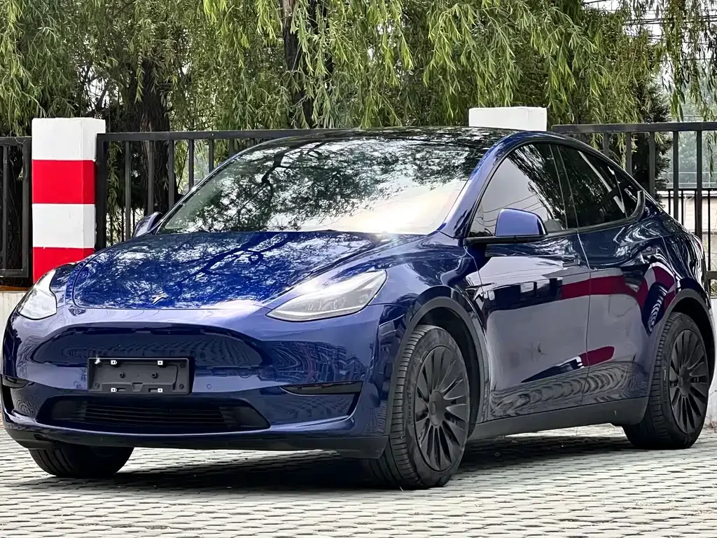 Tesla Model Y — фото 1