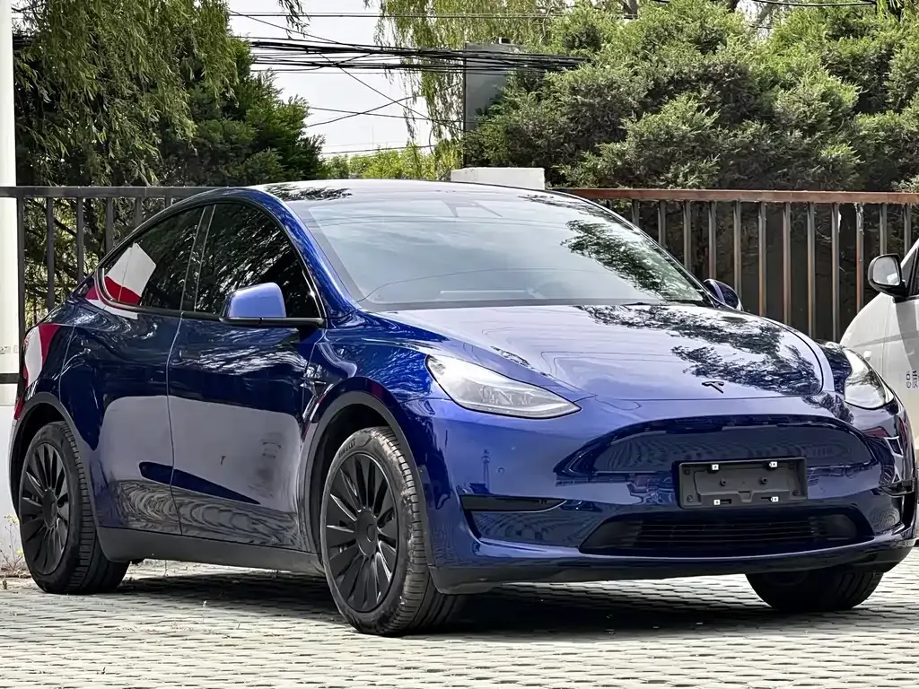 Tesla Model Y — фото 8